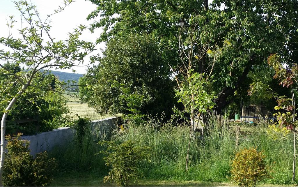 Gite Labradors De Bailly - Giverny Saint-Pierre-la-Garenne Exterior photo